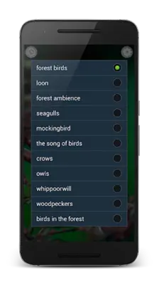 Birds Sounds Relax and Sleep android App screenshot 2